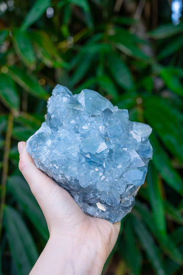 Celestite Cluster